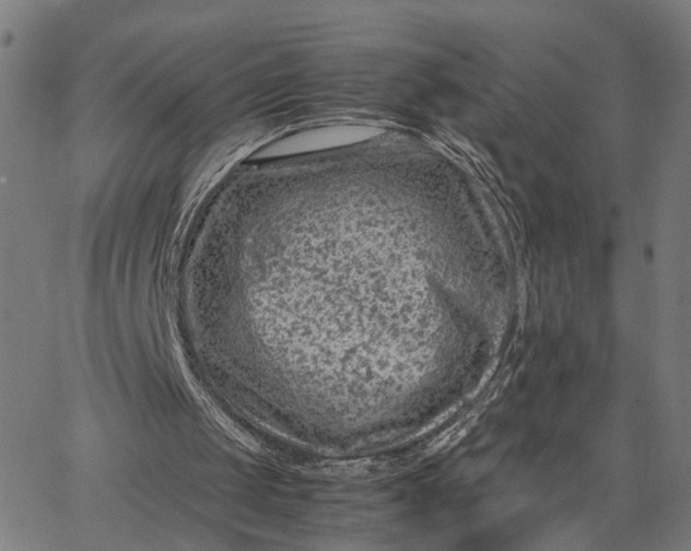 X0000065250049200603031813