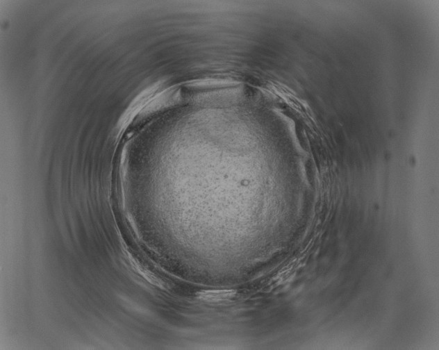 X0000065250051200603031813