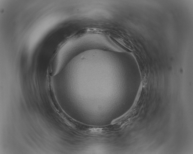 X0000065250052200603031814