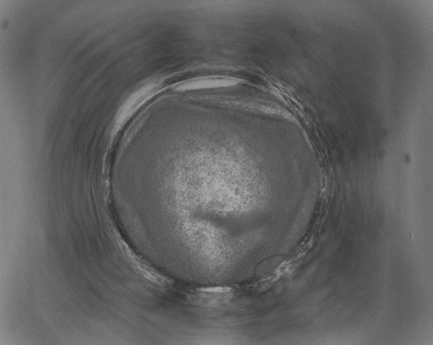 X0000065250053200603031814