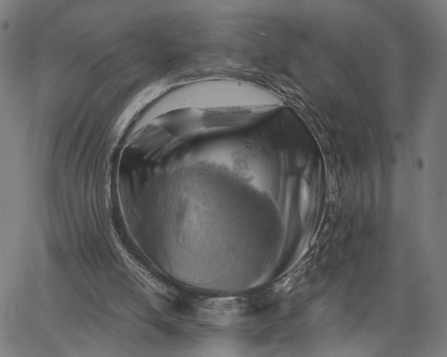 X0000065250054200603031814