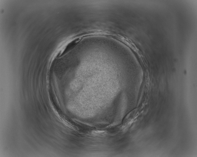 X0000065250055200603031814