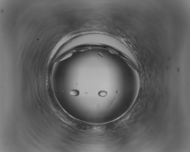 X0000065250056200603031814