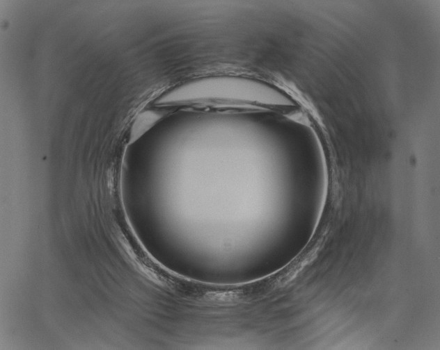 X0000065250057200603031814