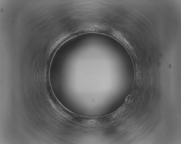 X0000065250058200603031814