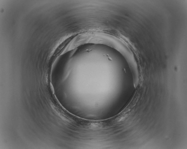 X0000065250060200603031814