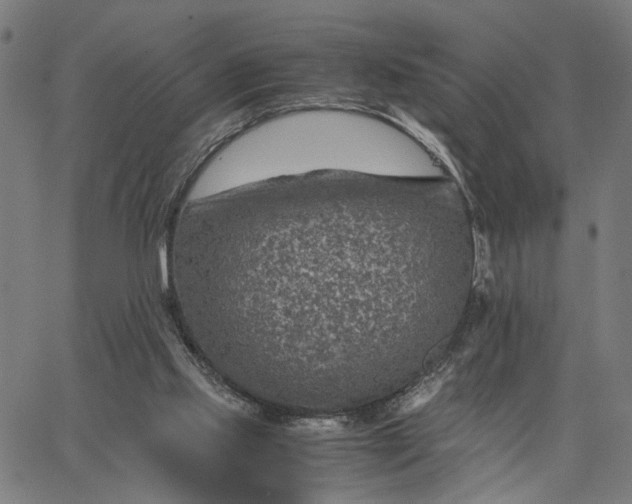 X0000065250061200603031814