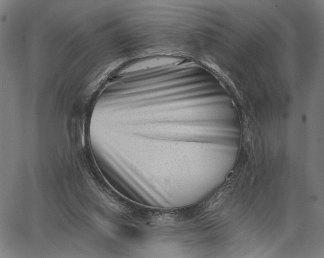 X0000065250062200603031814