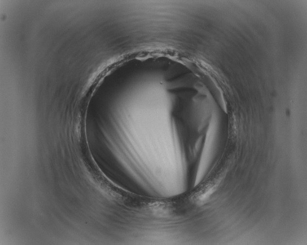 X0000065250064200603031814