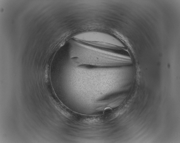 X0000065250065200603031814