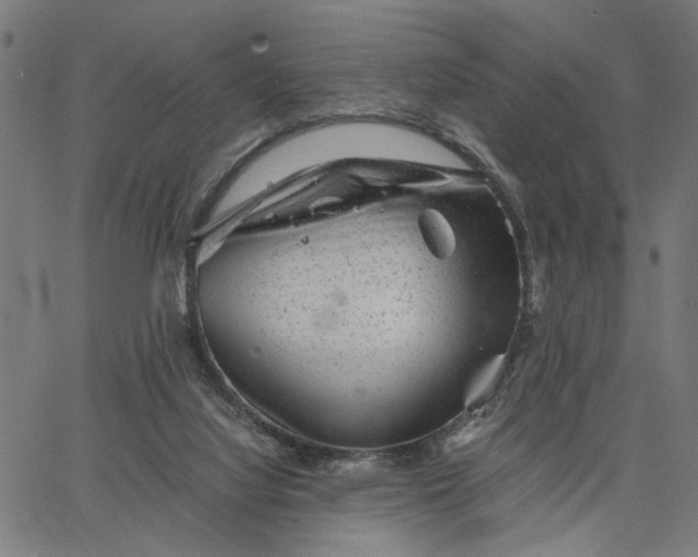 X0000065250068200603031814