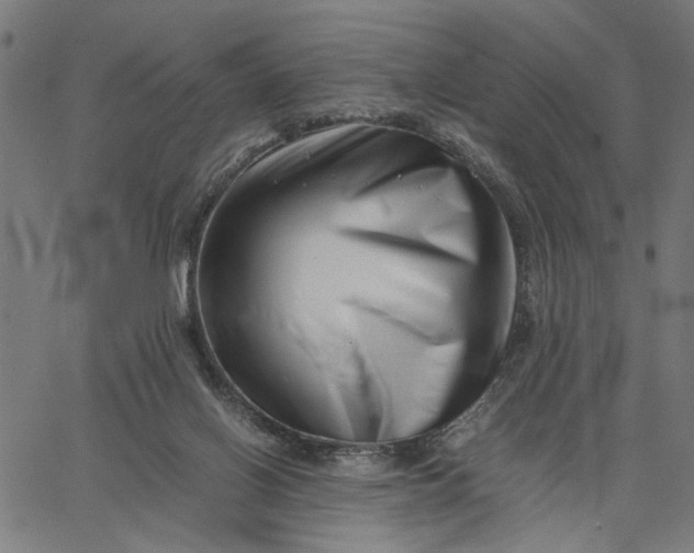 X0000065250070200603031814