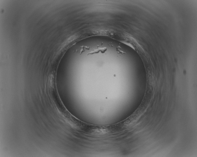 X0000065250071200603031814