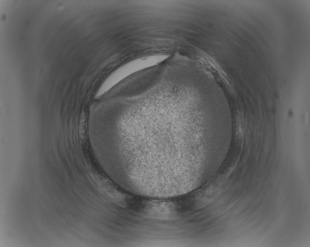 X0000065250073200603031814