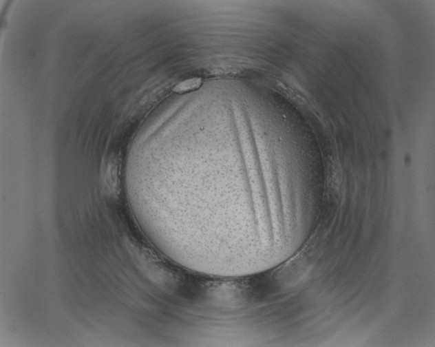 X0000065250074200603031814