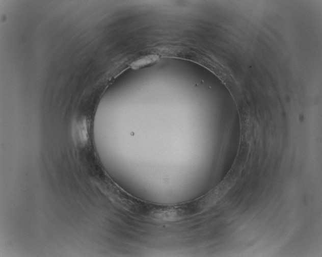 X0000065250075200603031814