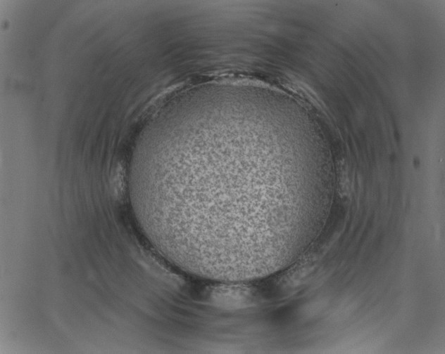 X0000065250077200603031814