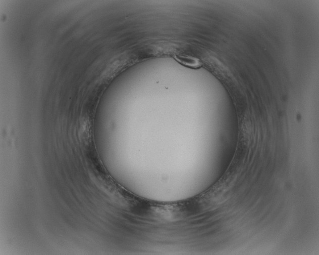 X0000065250079200603031814