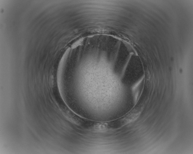 X0000065250080200603031814