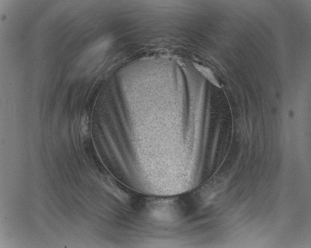 X0000065250081200603031814