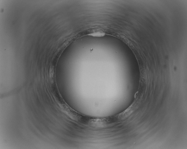 X0000065250082200603031814