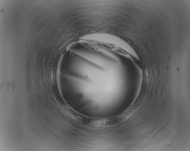 X0000065250084200603031814