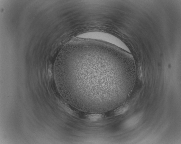 X0000065250085200603031814