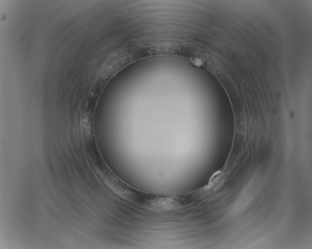 X0000065250086200603031814