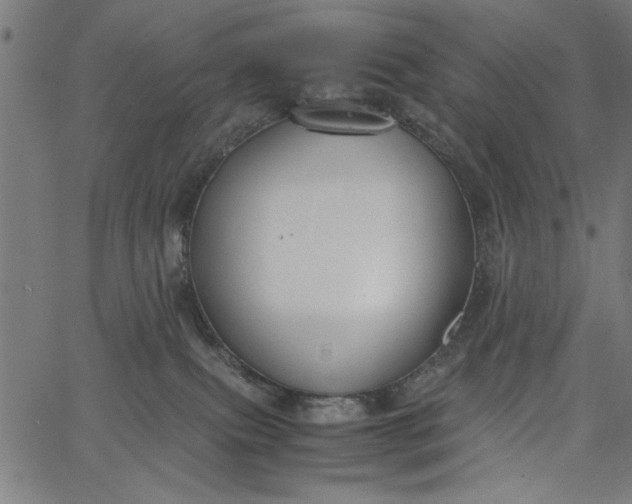 X0000065250087200603031814