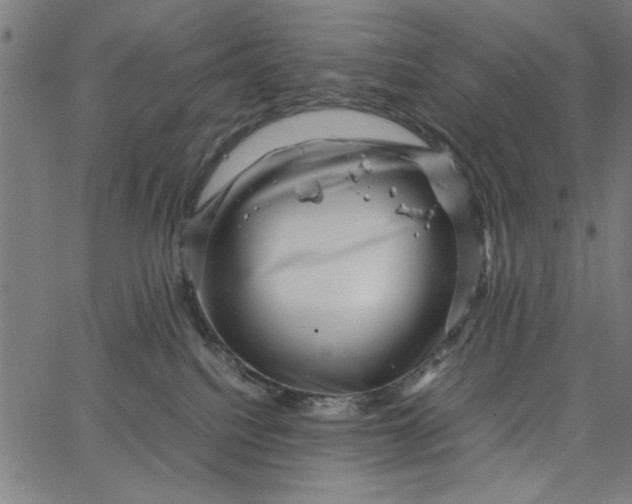 X0000065250088200603031814