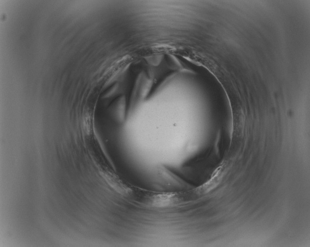 X0000065250090200603031814