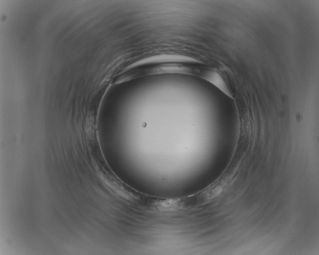 X0000065250092200603031814