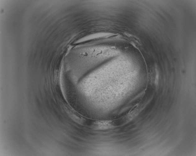 X0000065250093200603031814