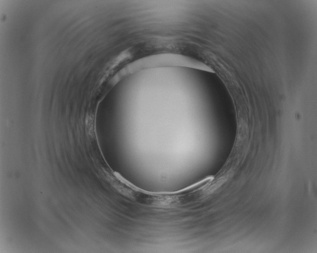 X0000065250096200603031814