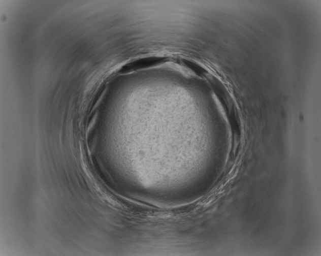 X0000065250097200603031813