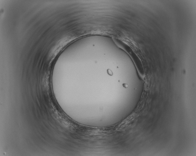 X0000065250098200603031813