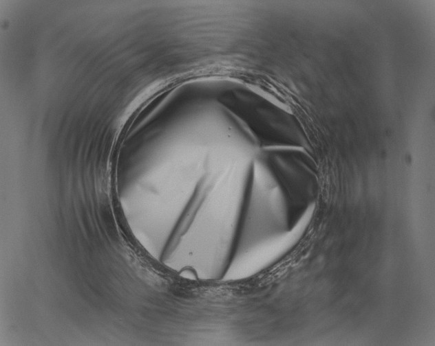 X0000065250100200603031813