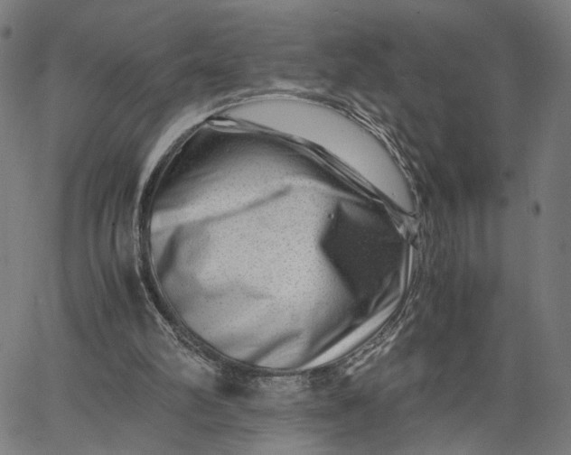 X0000065250102200603031813