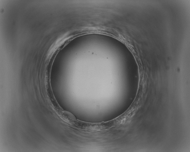 X0000065250103200603031813