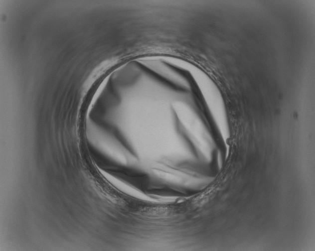 X0000065250104200603031813