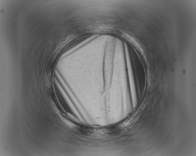 X0000065250105200603031813