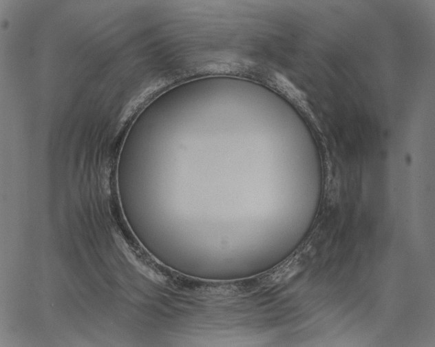 X0000065250106200603031813