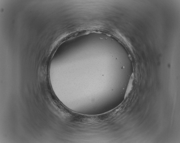 X0000065250107200603031813