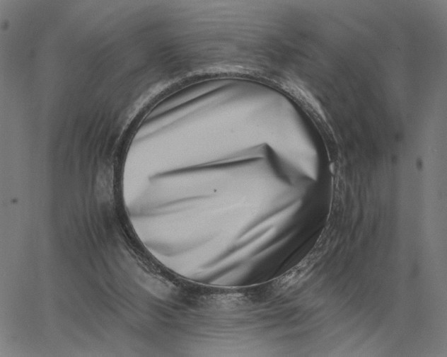 X0000065250108200603031813