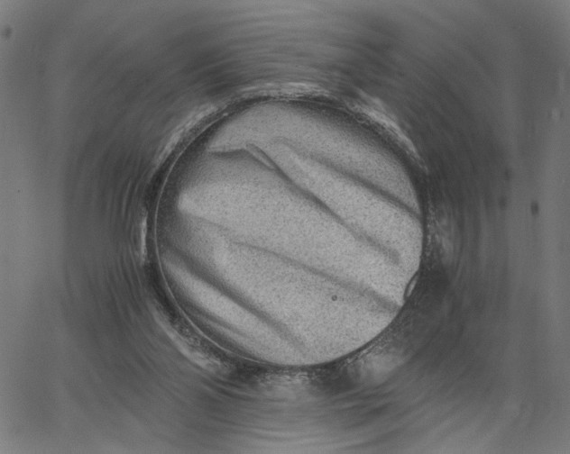 X0000065250110200603031813