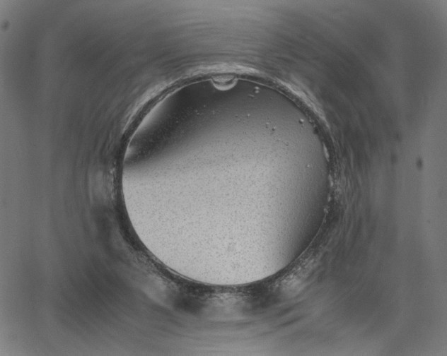 X0000065250111200603031813