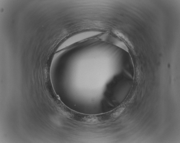 X0000065250113200603031813