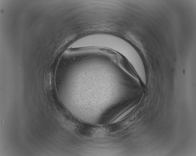 X0000065250115200603031813