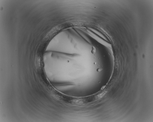 X0000065250117200603031813