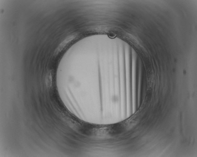 X0000065250120200603031813